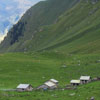 alp