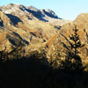 alp