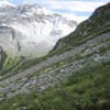 alp